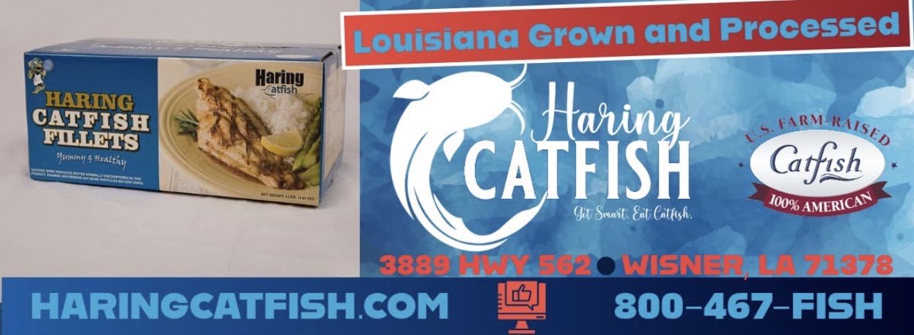 Haring Catfish logo