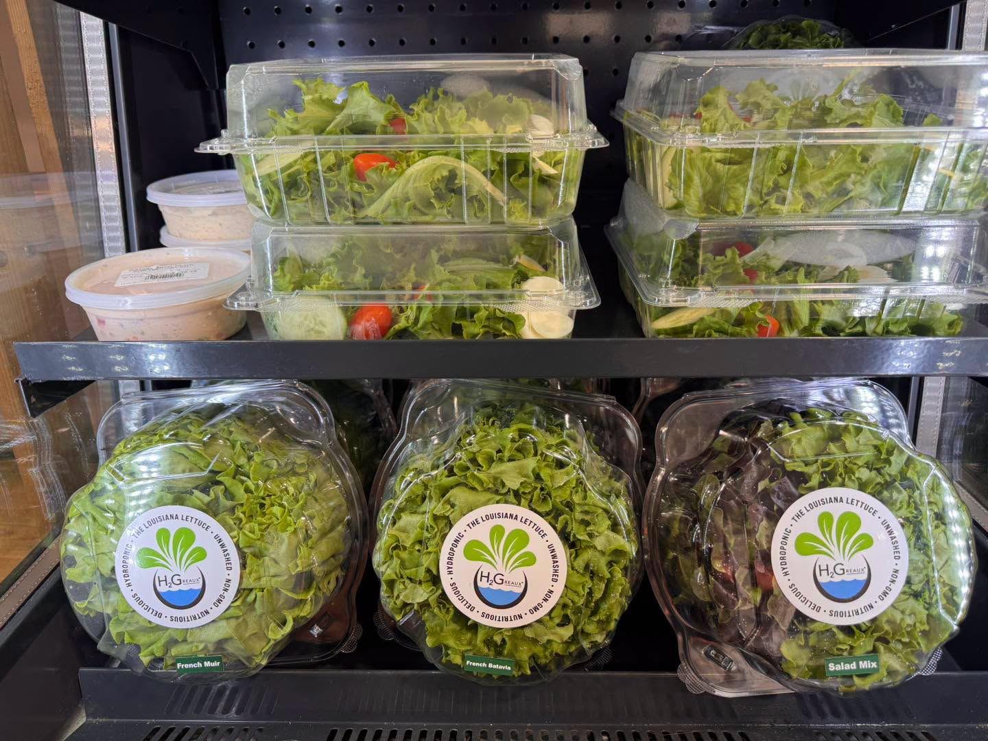 Hydroponic Lettuce